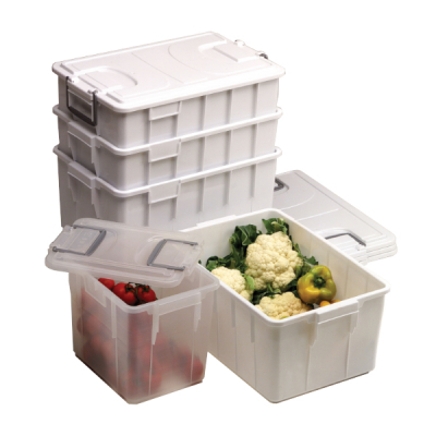 16588409445001-boxfoodlt40inssov